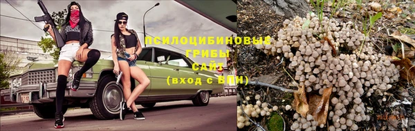 марихуана Дмитровск