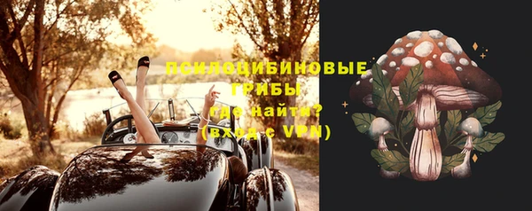 a pvp Дмитров