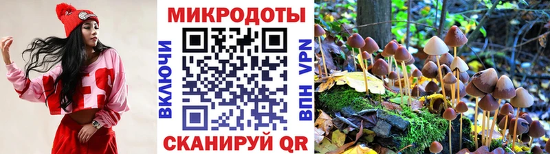 купить наркотик  Чистополь  hydra онион  Галлюциногенные грибы Psilocybe 